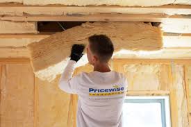 Best Eco-Friendly or Green Insulation Solutions  in Hillsboro, TX